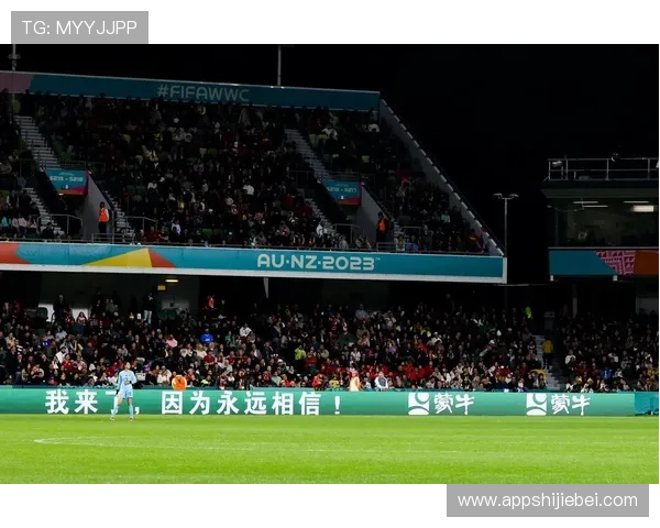 中国世界杯：历史回顾与未来展望，见证中国足球的荣耀时刻